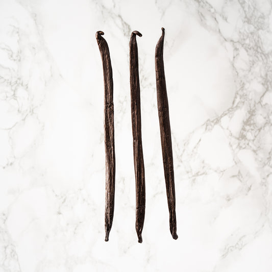 Vanille tahitensis de Tahiti Tahaa