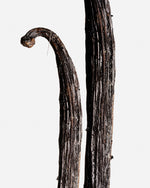 Vanille planifolia fendue givrée de Madagascar