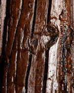 Vanille pompona fendue de Martinique