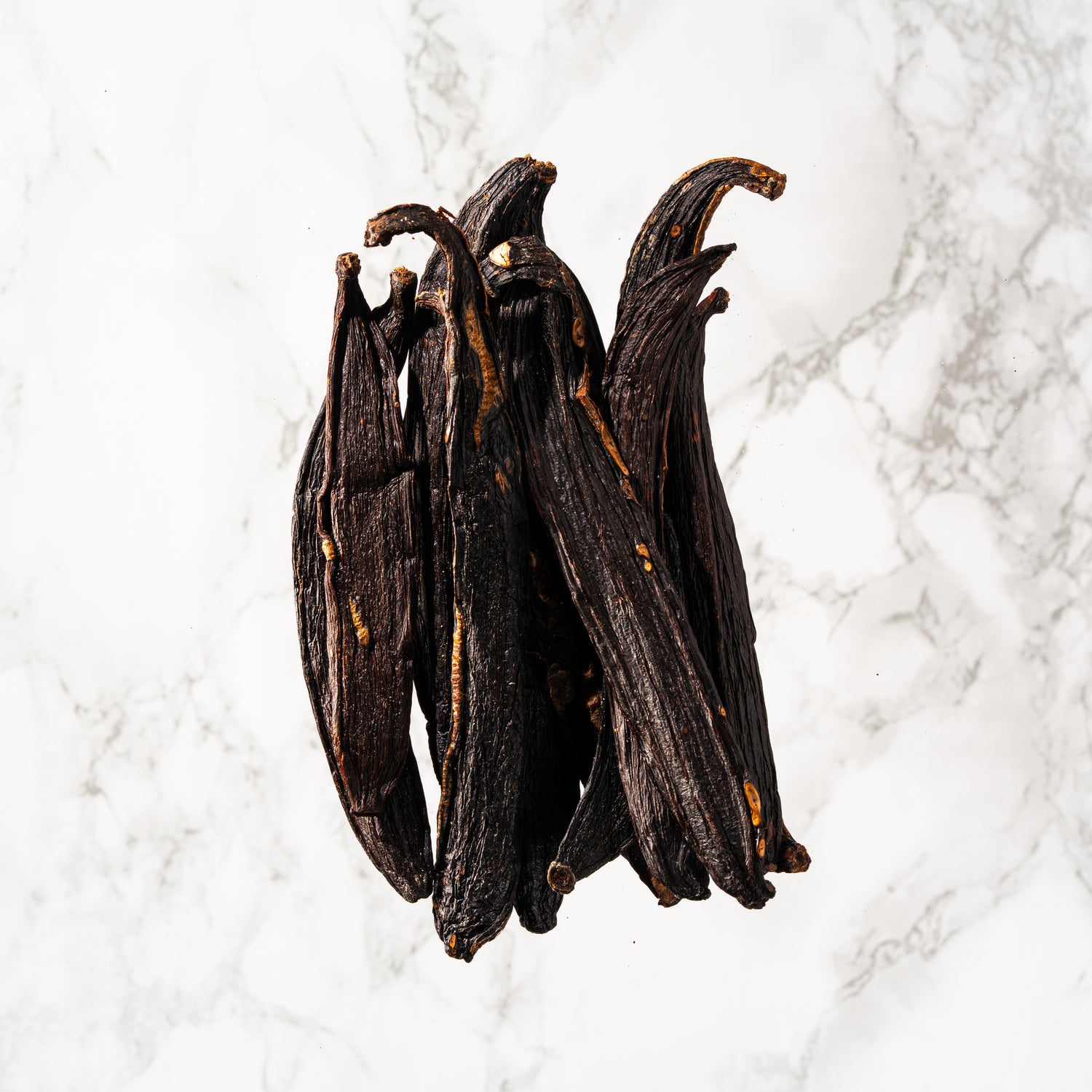 Vanille pompona du Brésil