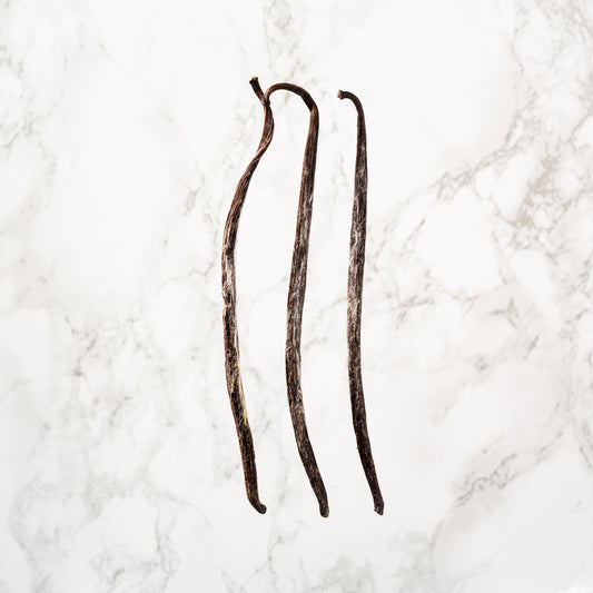 Vanille planifolia givrée de Bretagne