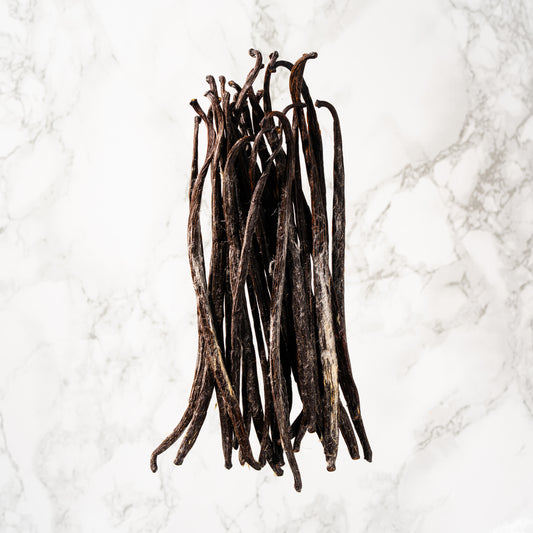 Vanille planifolia givrée de Bretagne professionnel