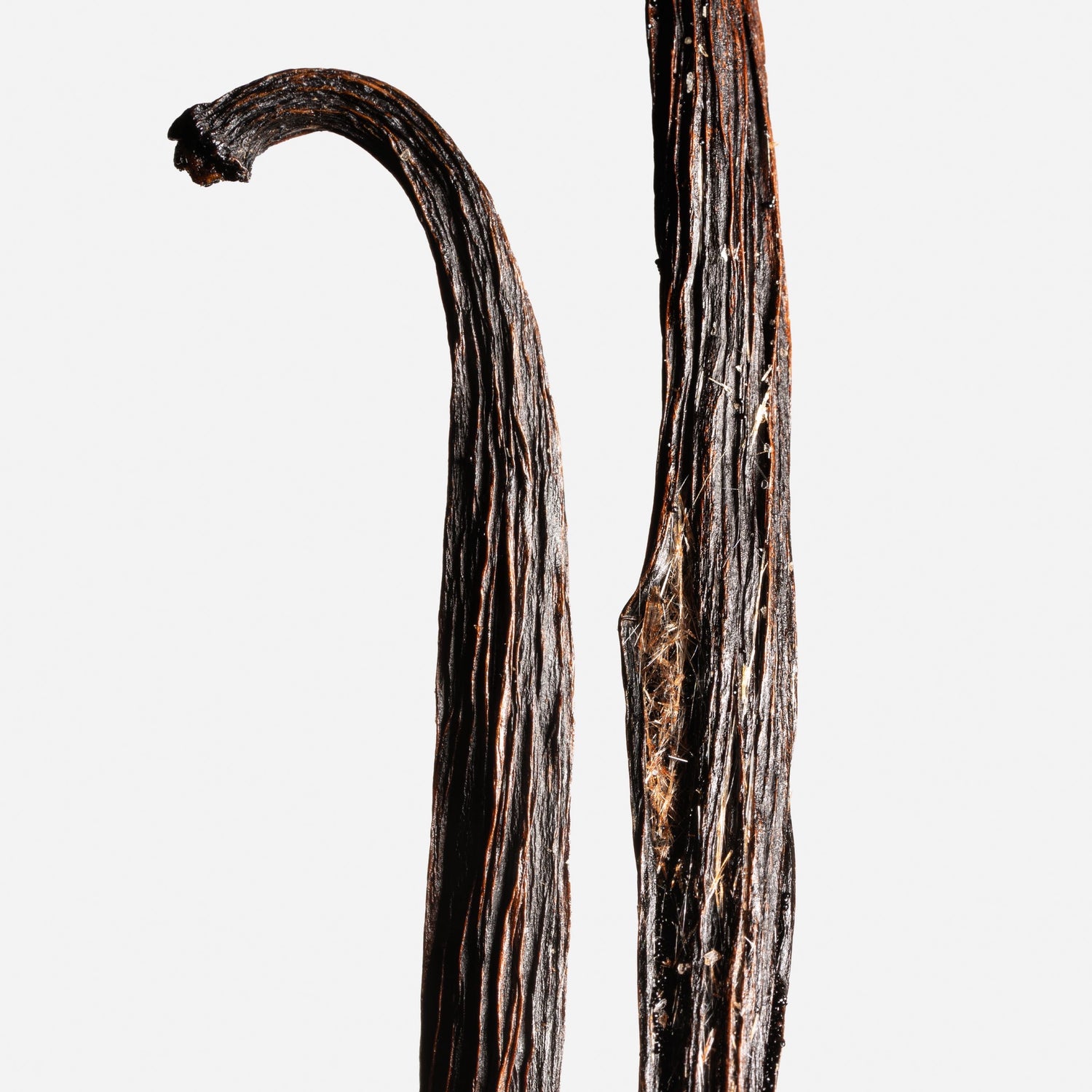 Vanille planifolia givrée de l’île de La Réunion