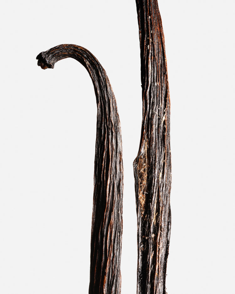 Vanille planifolia givrée de l’île de La Réunion