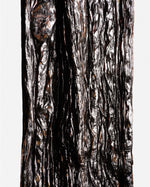 Vanille pompona du Pérou