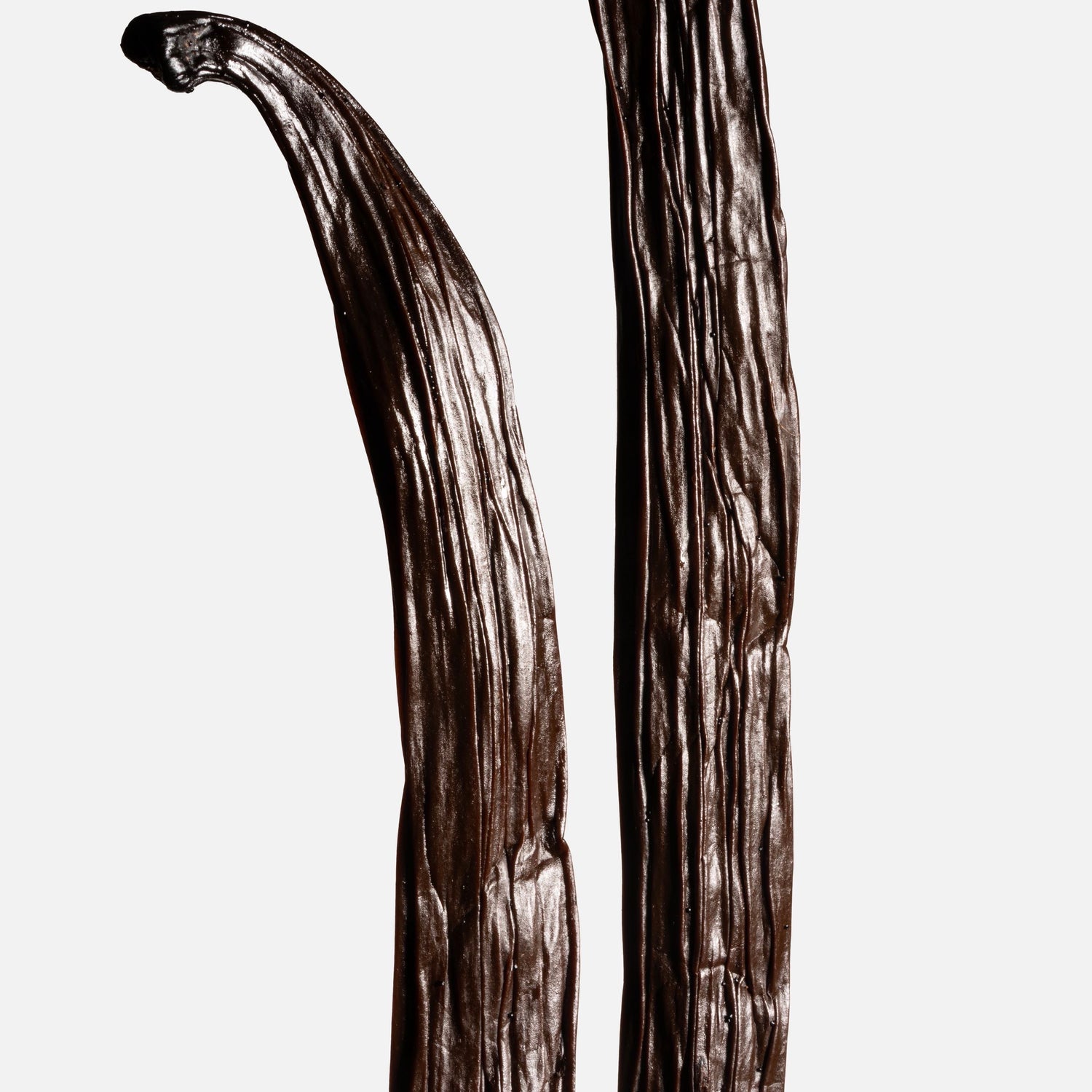 Vanille planifolia de Tanzanie