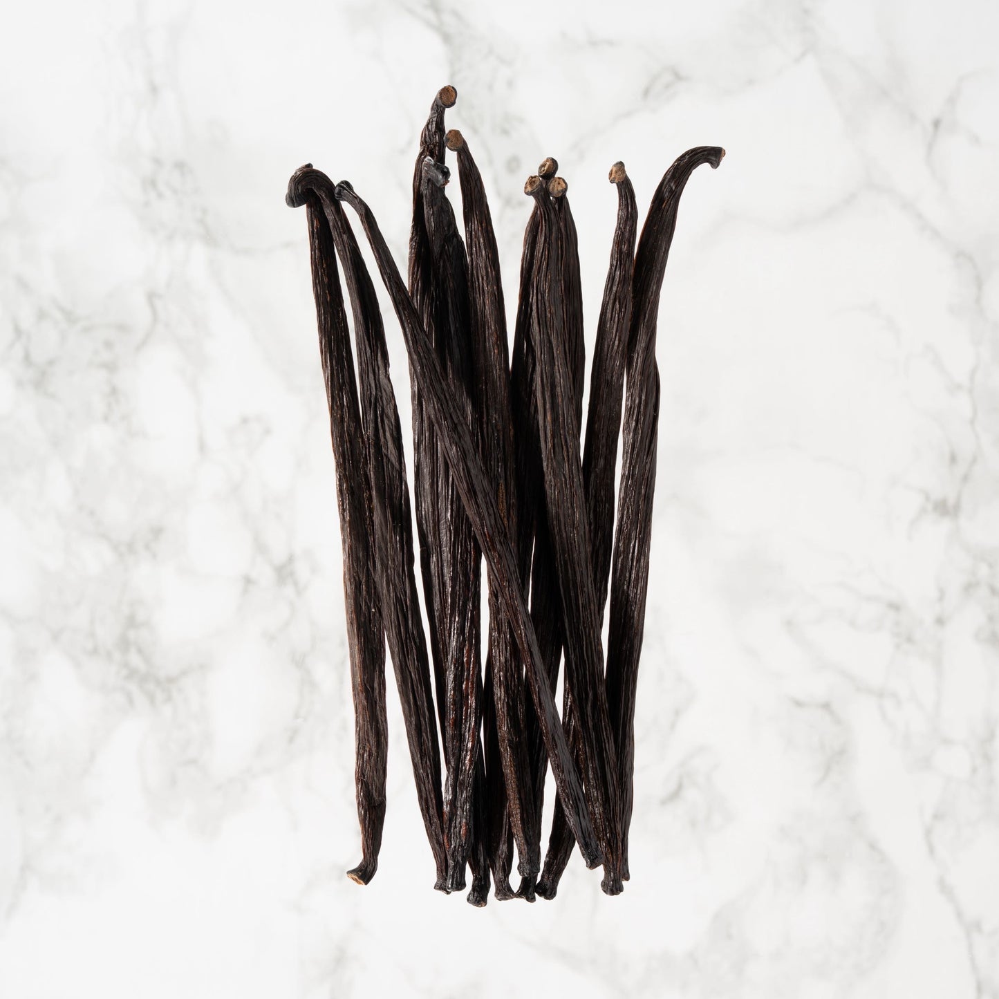 Vanille Tahitensis de l'Équateur