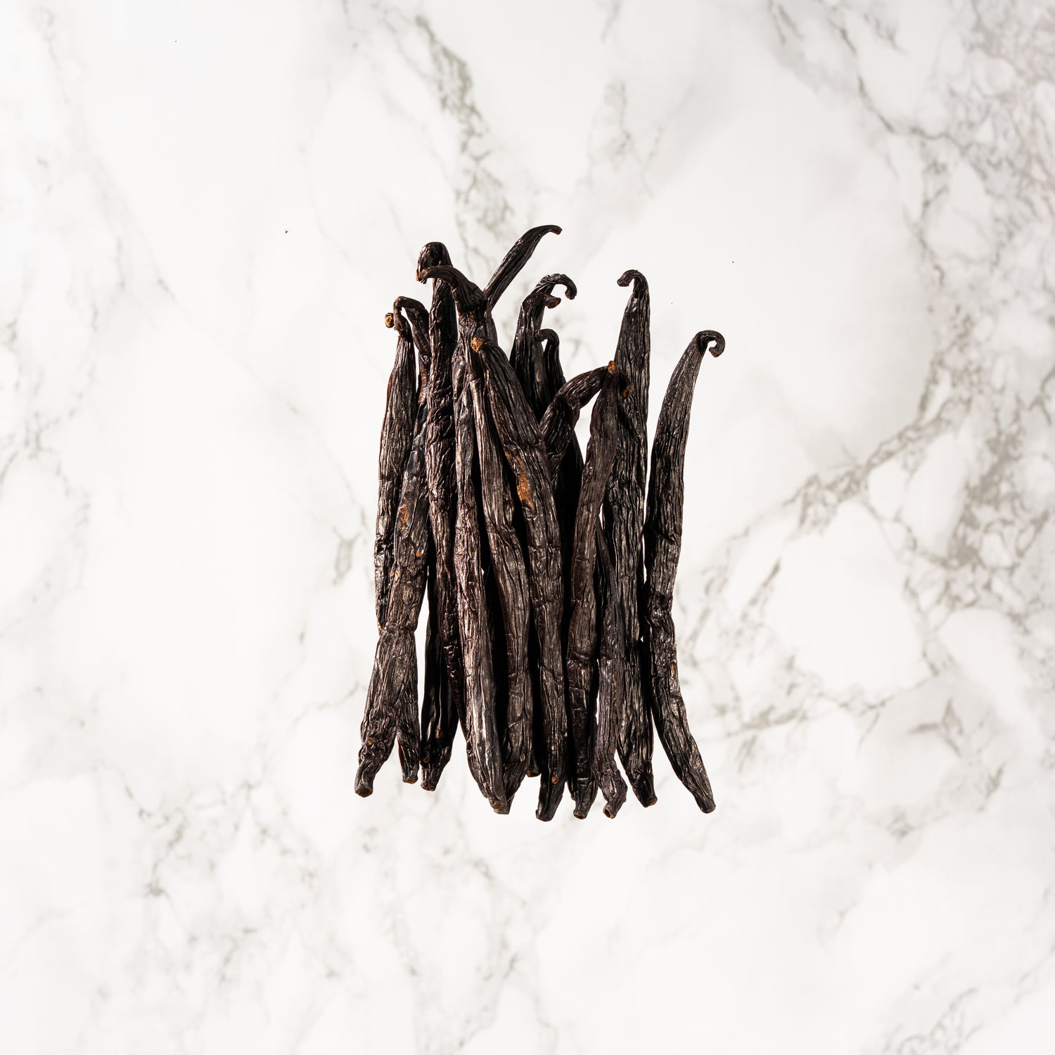 Vanille sotoarenasii de Colombie