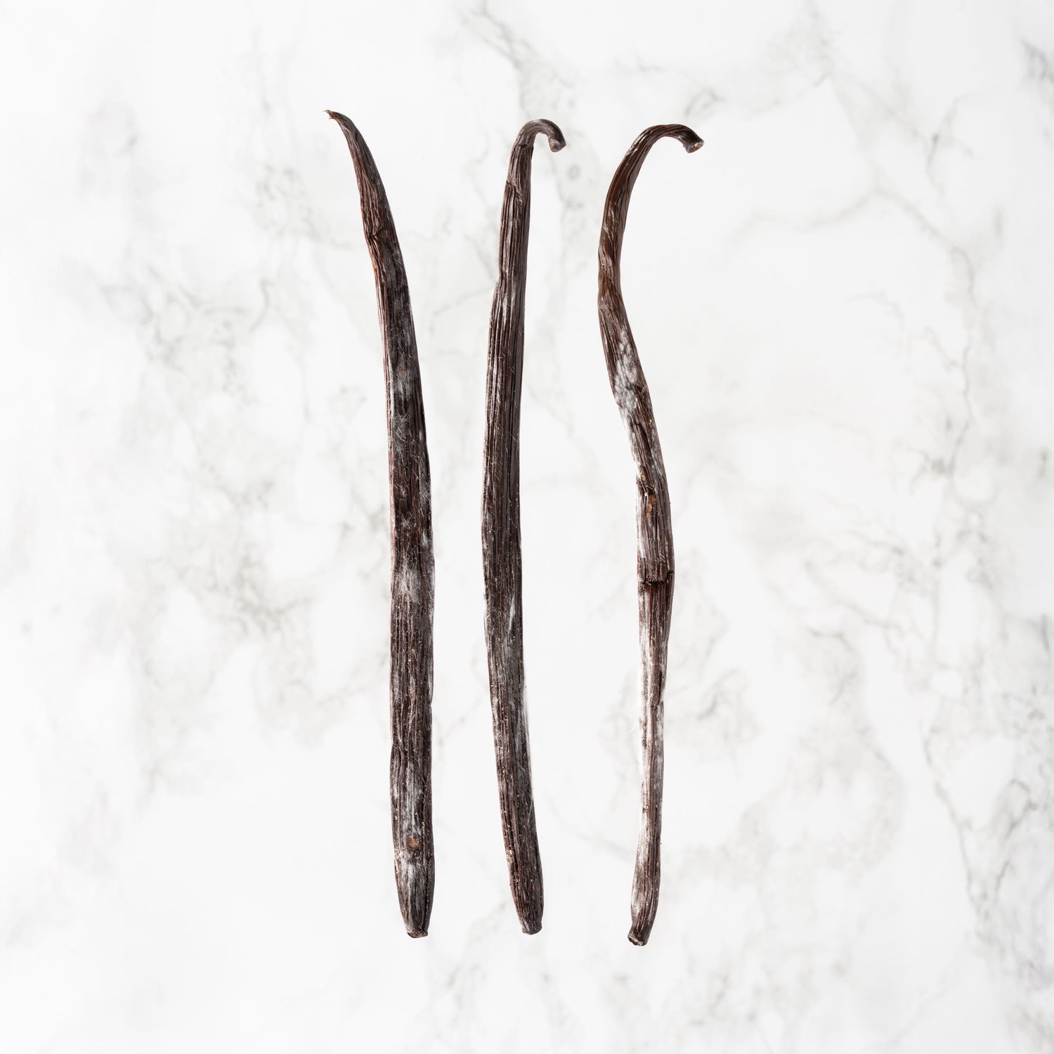 Vanille planifolia givrée de Nouvelle-Calédonie