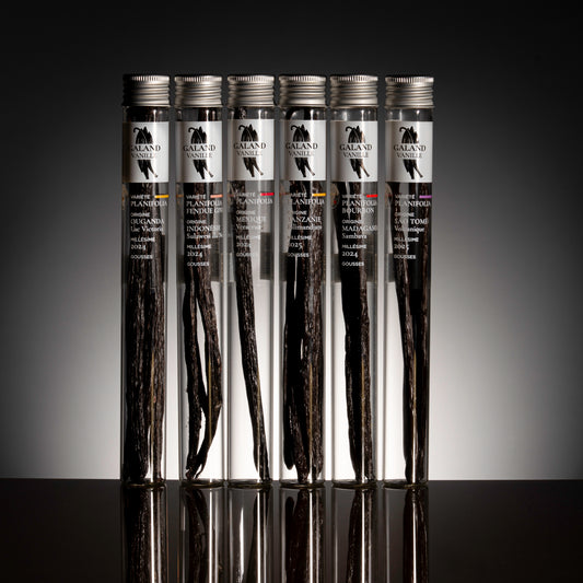 Coffret Vanille Origine