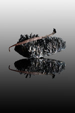 Vanille planifolia givrée de l’île de La Réunion