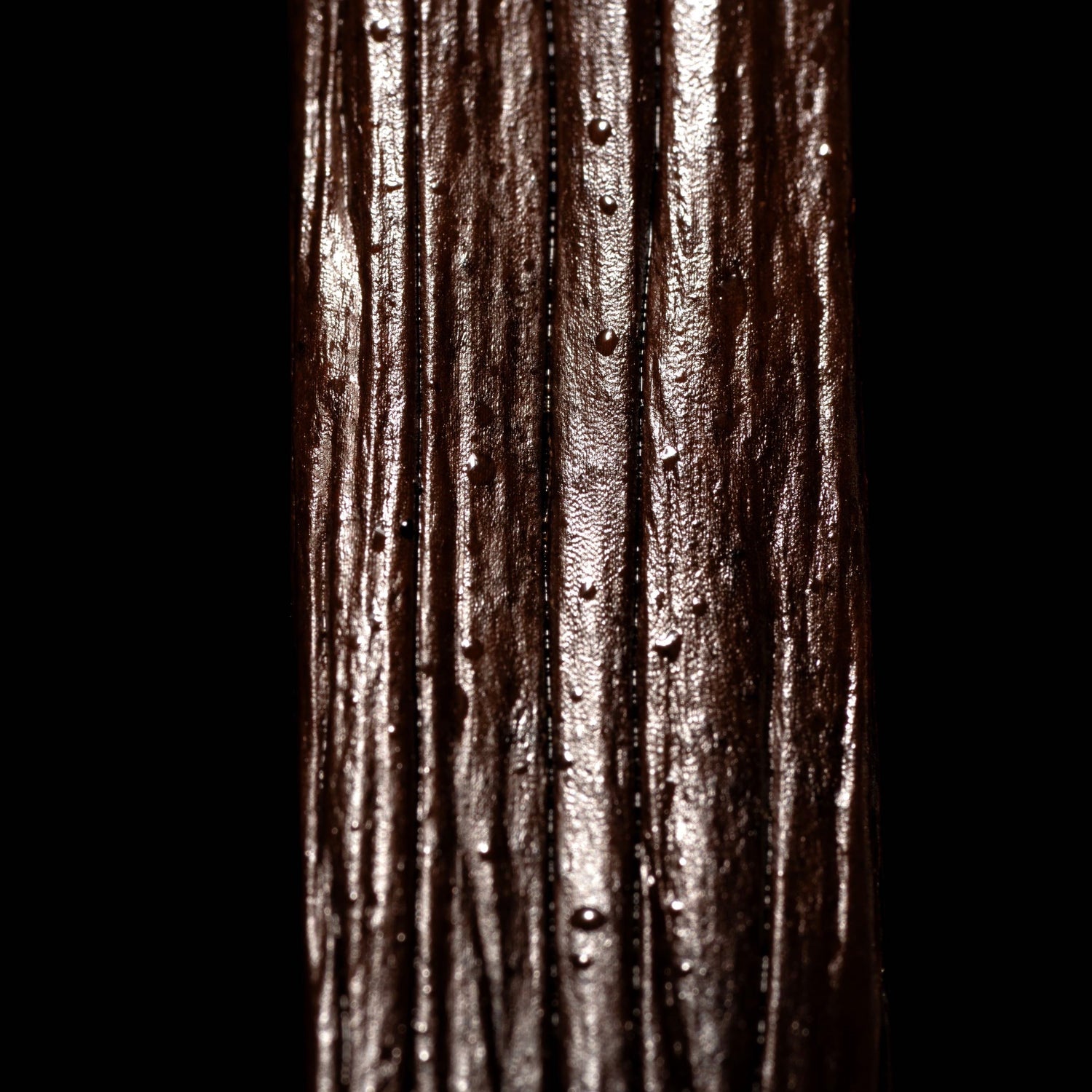 Vanille tahitensis haapape de Tahiti Raiatea