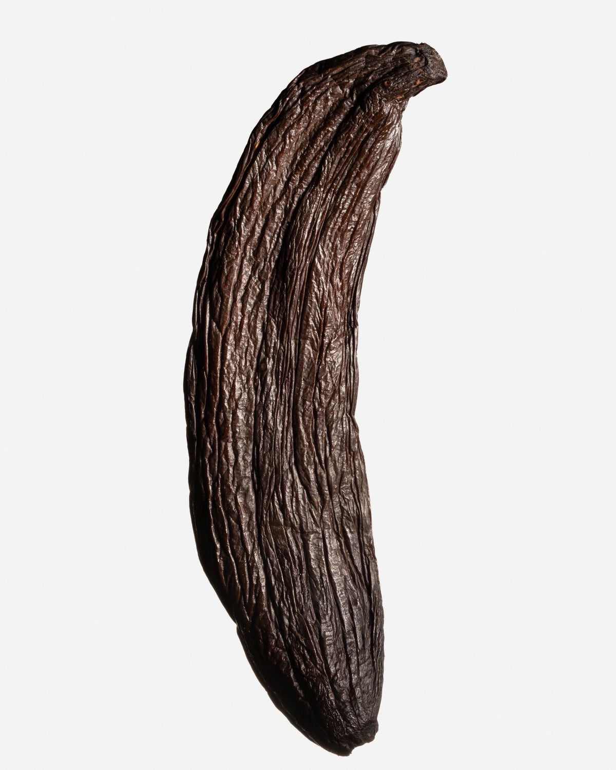 Vanille pompona de Nouvelle-Calédonie