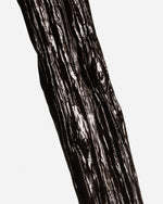 Vanille tahitensis de Papouasie Nouvelle-Guinée