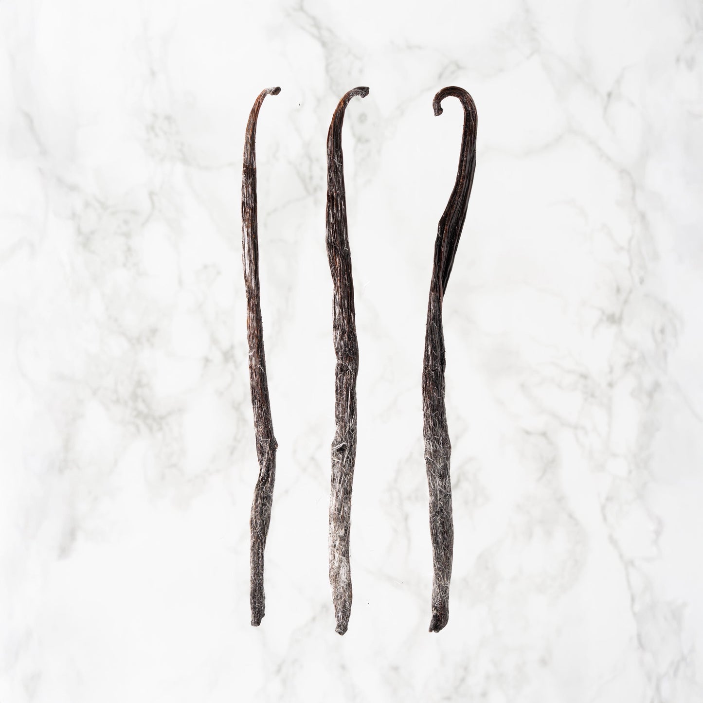 Vanille planifolia fendue givrée de Madagascar professionnel