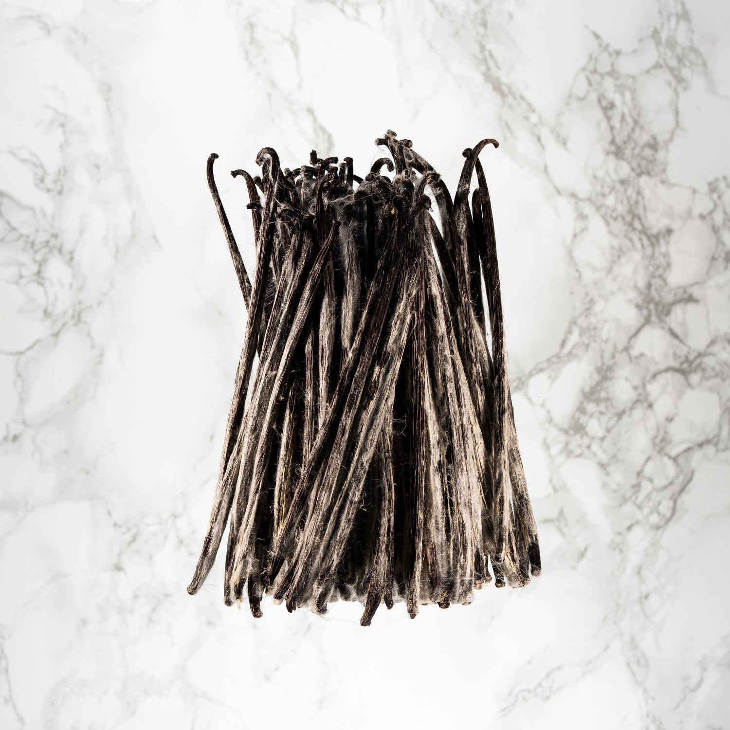 Vanille planifolia givrée de l'île Maurice