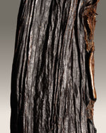 Vanille pompona du Brésil