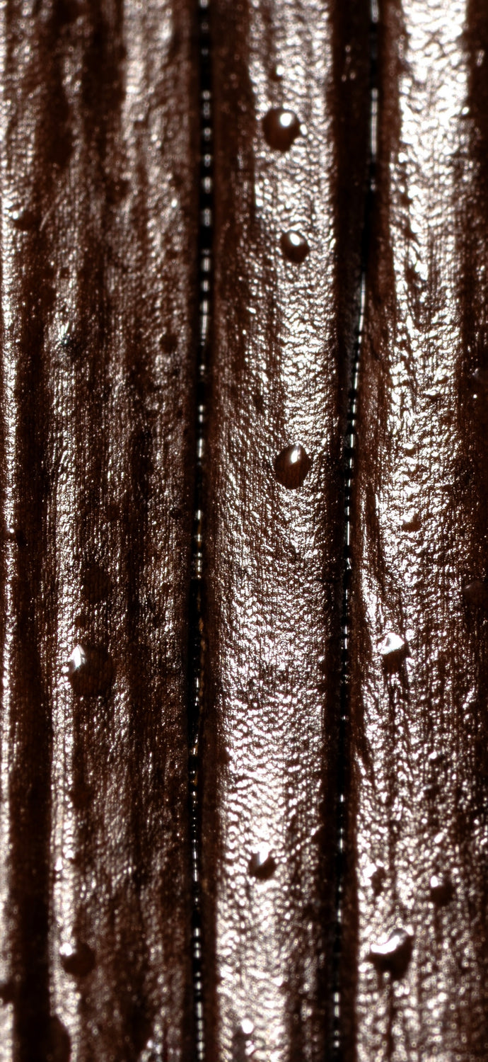 Vanille tahitensis haapape de Tahiti Raiatea