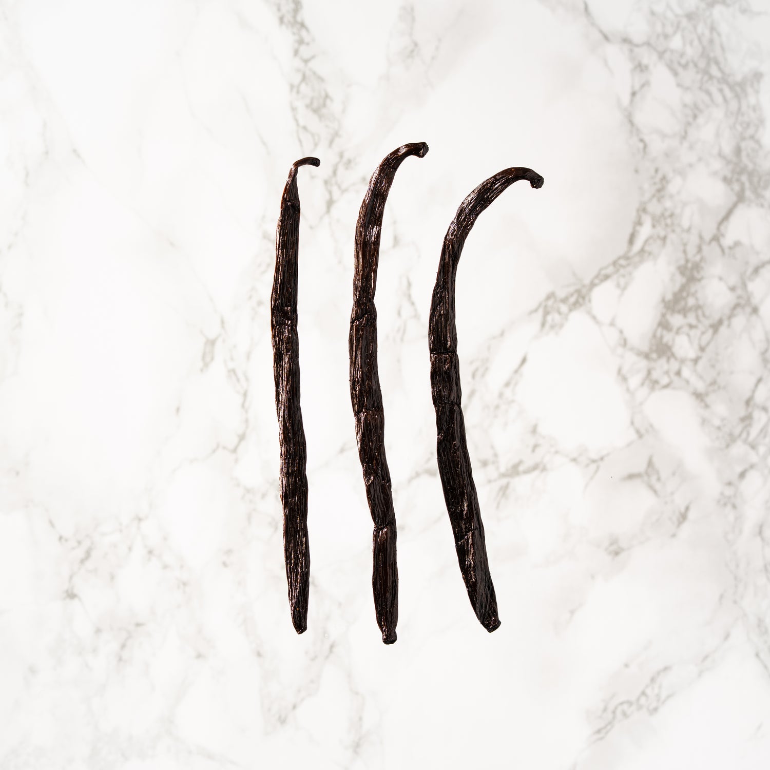 Vanille Planifolia d'Inde