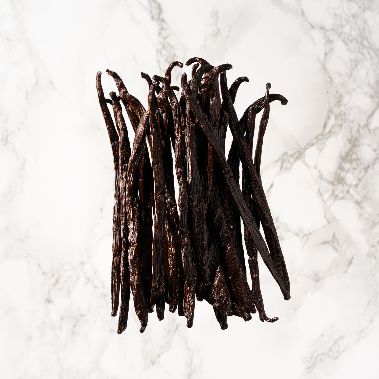 Vanille Planifolia d'Inde