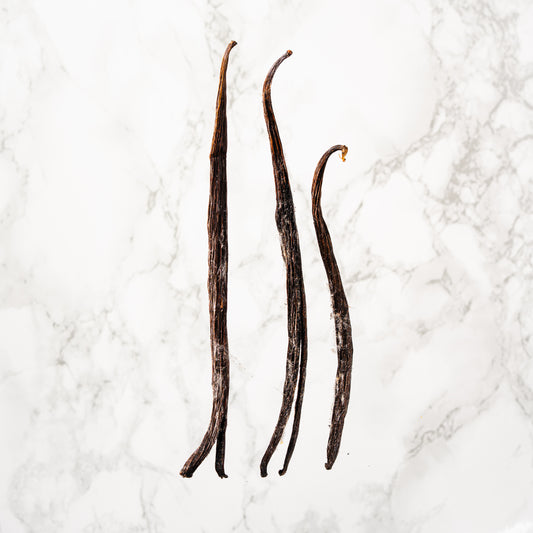 Vanille planifolia fendue givrée d'Indonésie Sulawesi