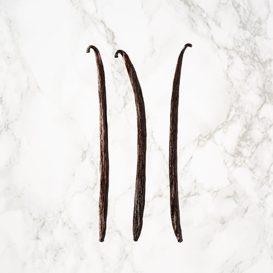 Vanille planifolia du Mexique