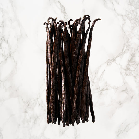 Vanille planifolia du Mexique professionnel