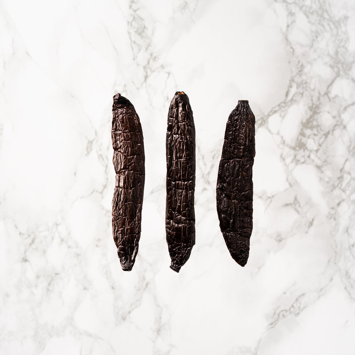 Vanille pompona du Mexique