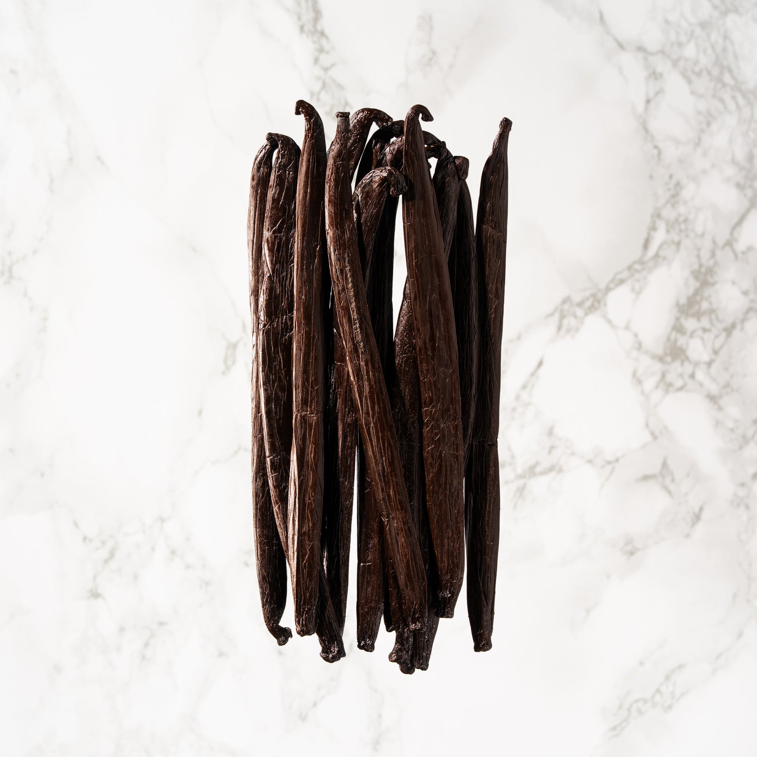 Vanille tahitensis de Tahiti Tahaa