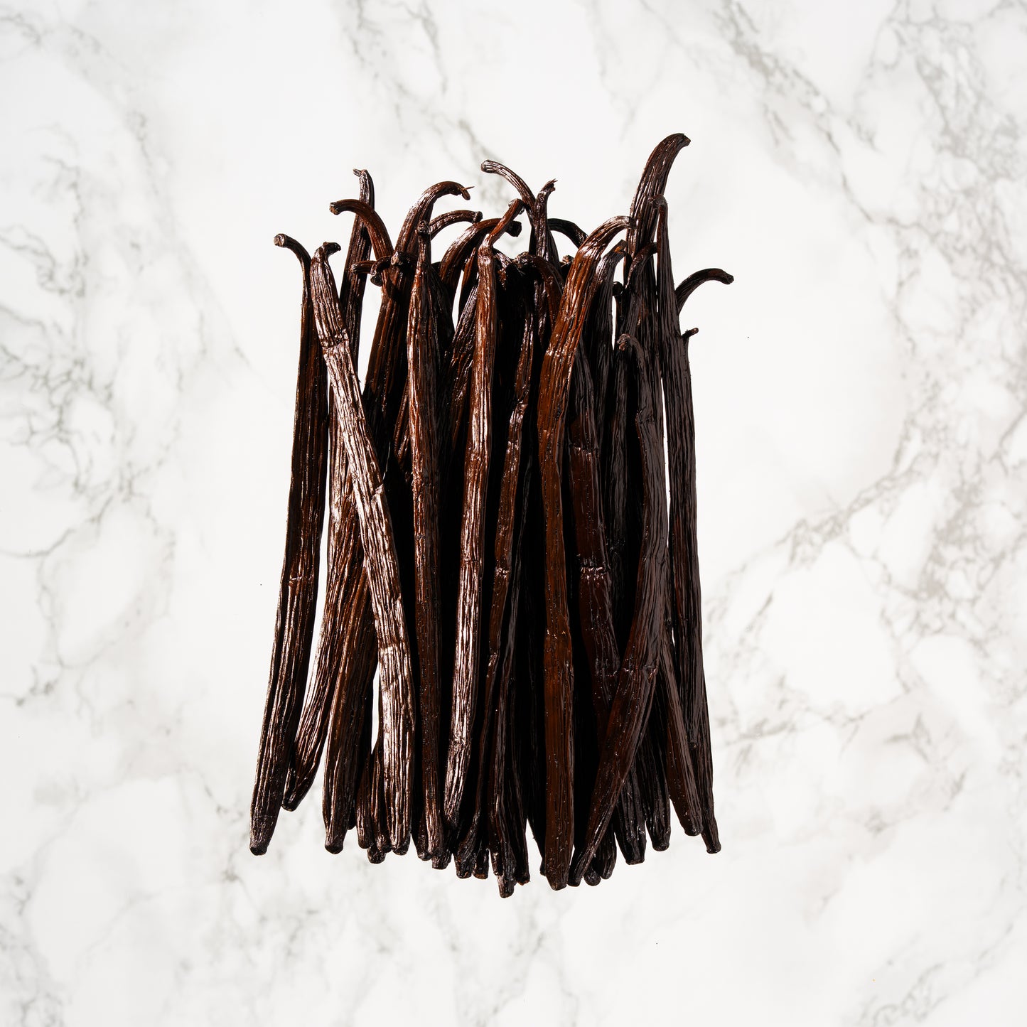 Vanille planifolia de Tanzanie Professionel