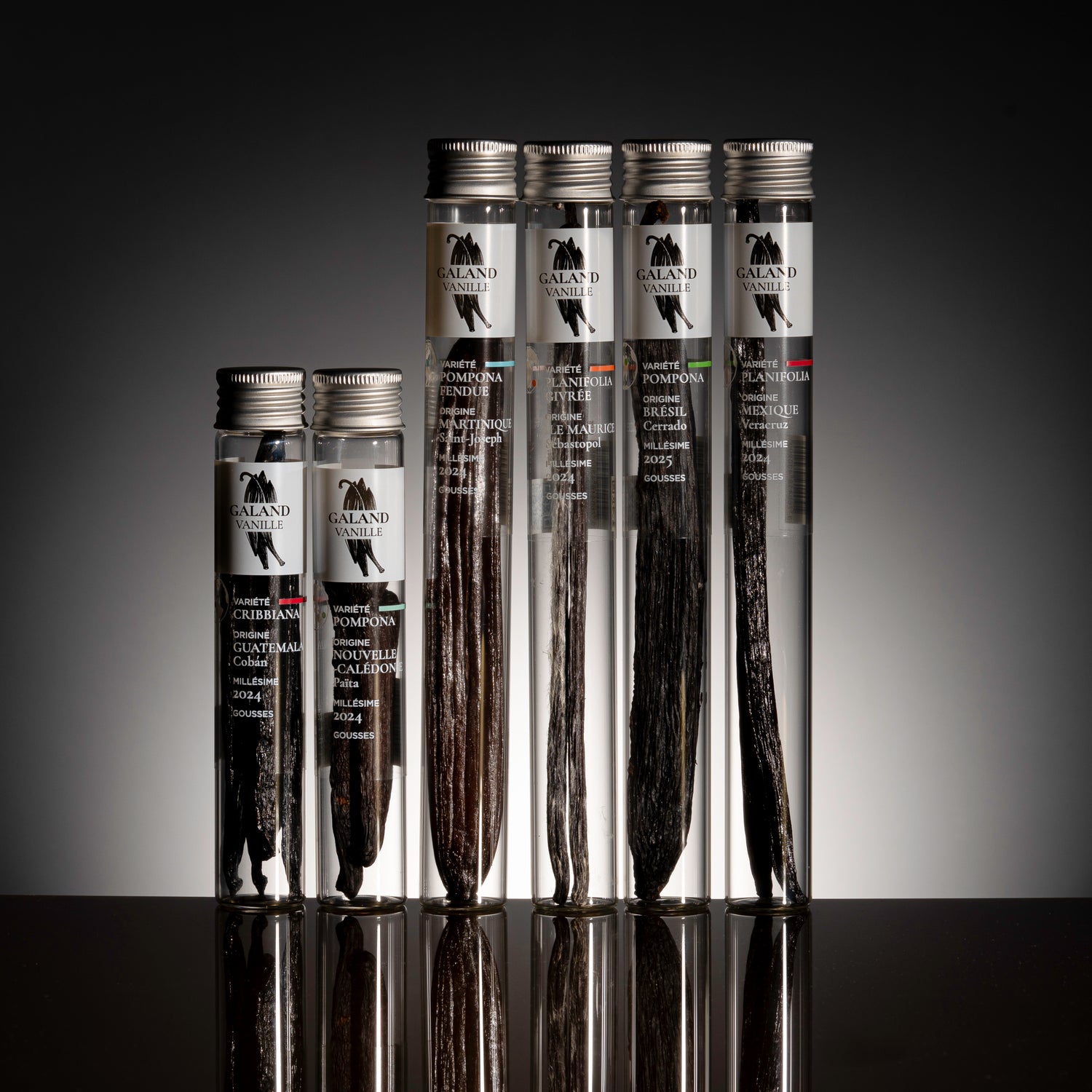 Vue d'ensemble du coffret collector Galand Vanille présentant six origines rares.