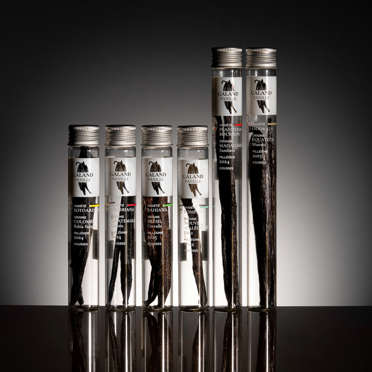 Coffret Vanille Variété