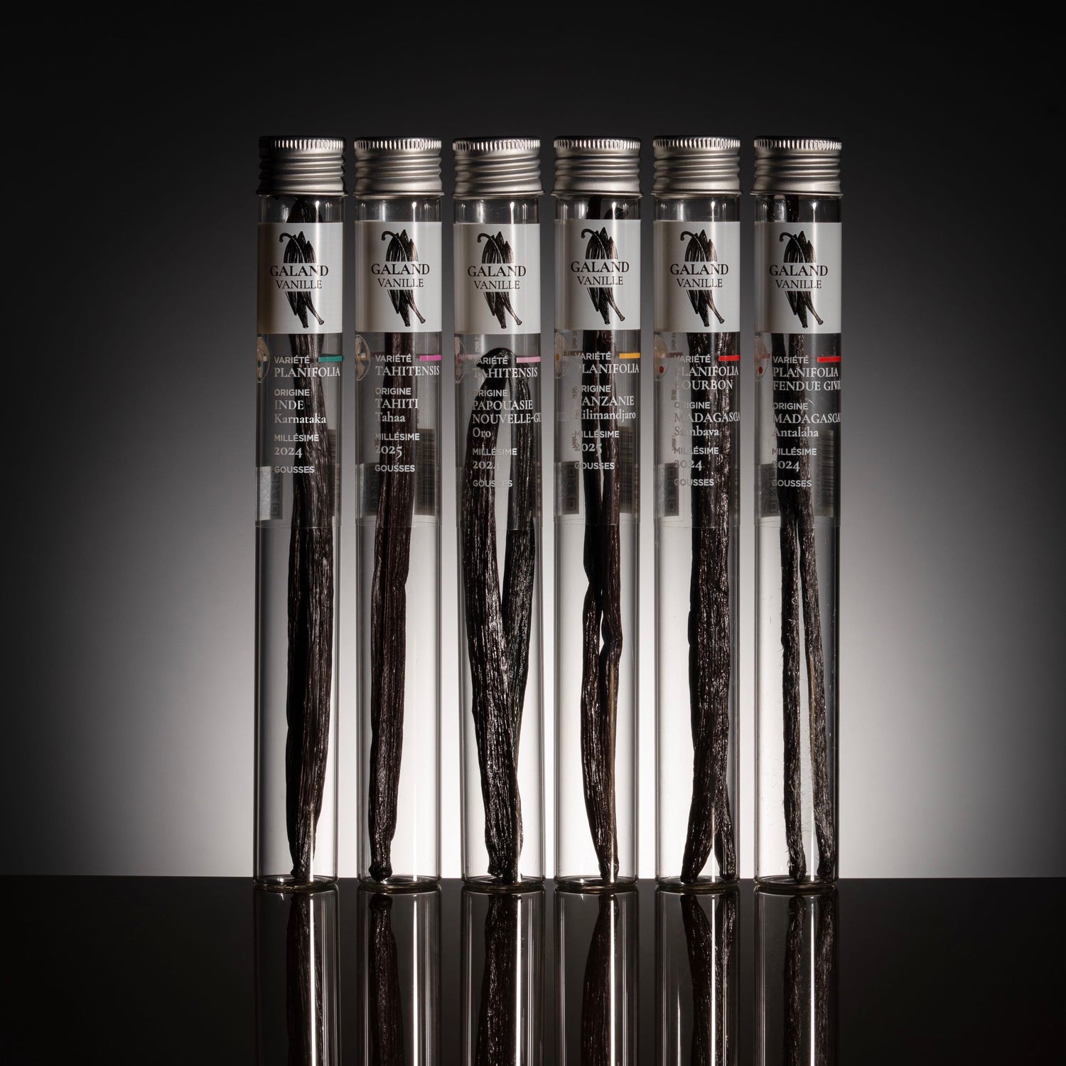 Coffret premium regroupant les variétés emblématiques Planifolia et Tahitensis.