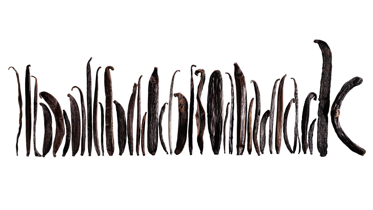 Collection de vanilles Galand Vanille présentant un voyage sensoriel de la classique vanille Bourbon aux gousses les plus rares au monde.