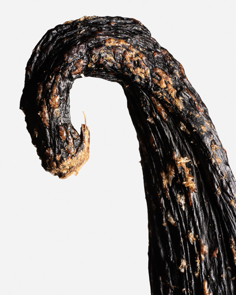Gros plan sur la cristallisation de coumarine naturelle sur une vanille Pompona du Pérou.