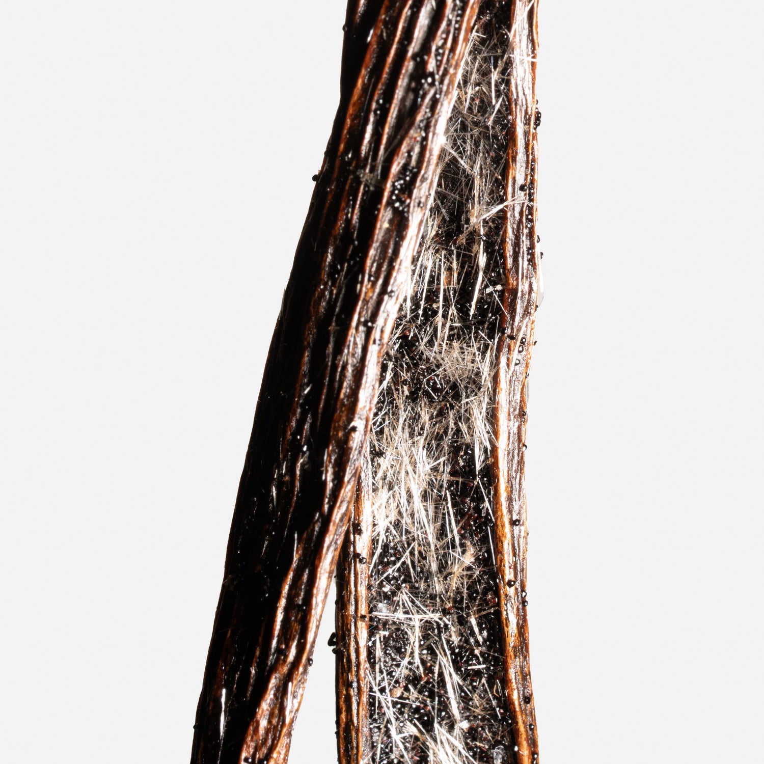 Zoom sur les cristaux de vanilline naturelle d'une vanille givrée d'Indonésie.