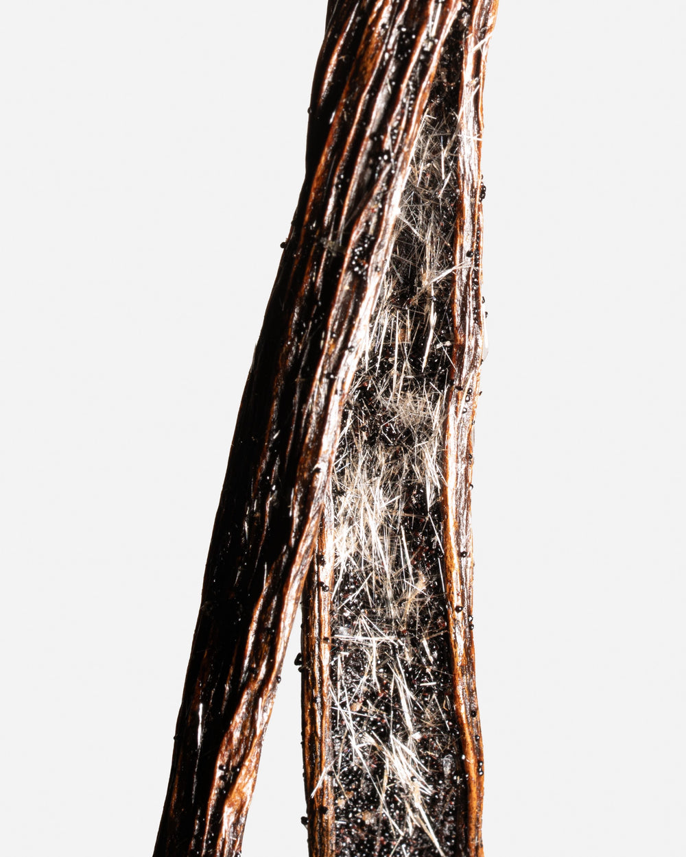Zoom sur les cristaux de vanilline naturelle d'une vanille givrée d'Indonésie.