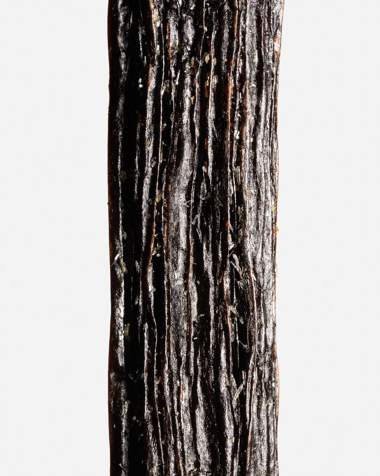 Vanille planifolia givrée de Bretagne