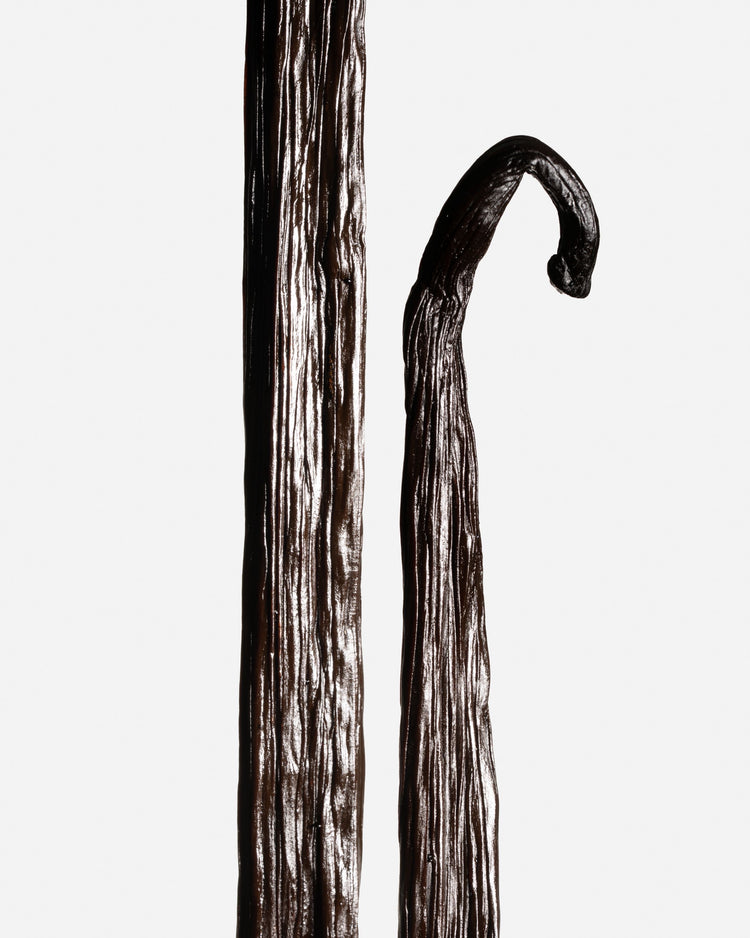 Vanille planifolia du Mexique