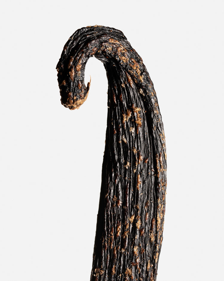 Vanille pompona du Pérou