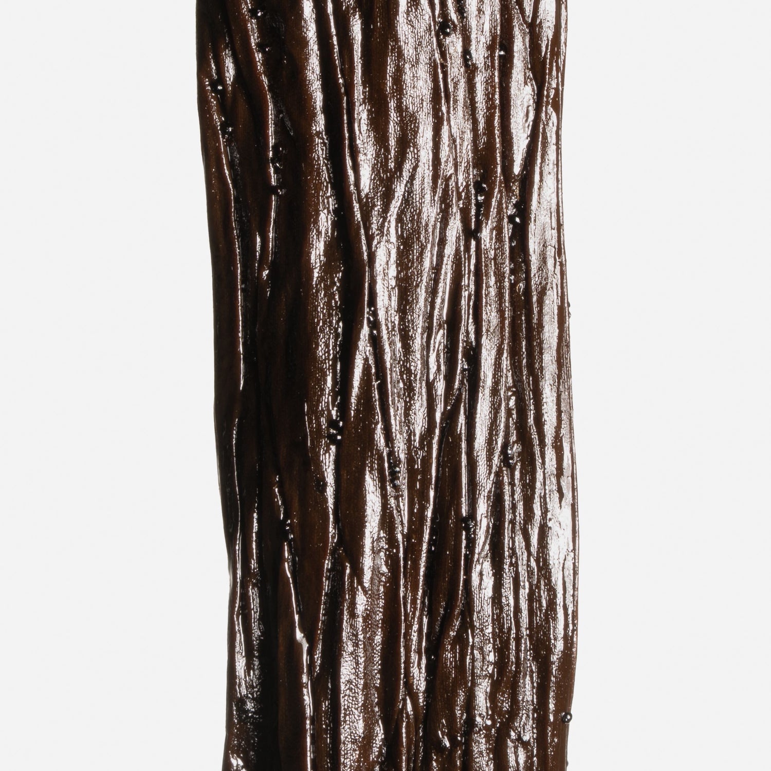 Zoom sur la texture huileuse et la peau souple d'une gousse de vanille Pompona.