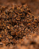 Poudre de vanille