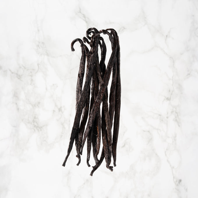 Vanille Odorata d’Équateur professionnel