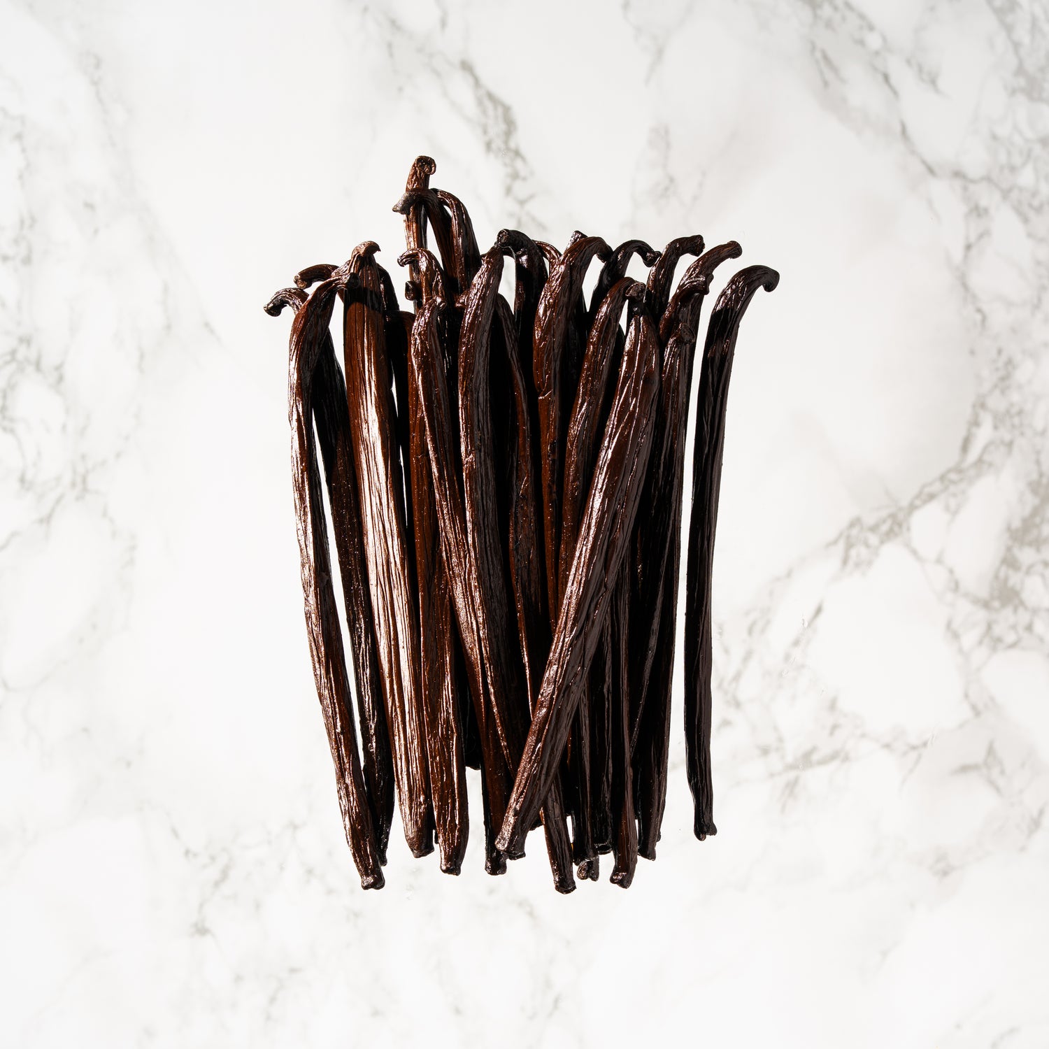 Gros plan final sur la qualité "Grand Cru" de la vanille de Tahiti Raiatea.