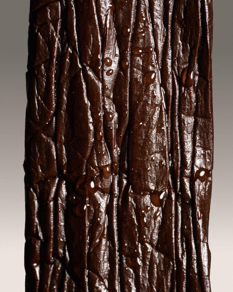 Vanille pompona de Colombie