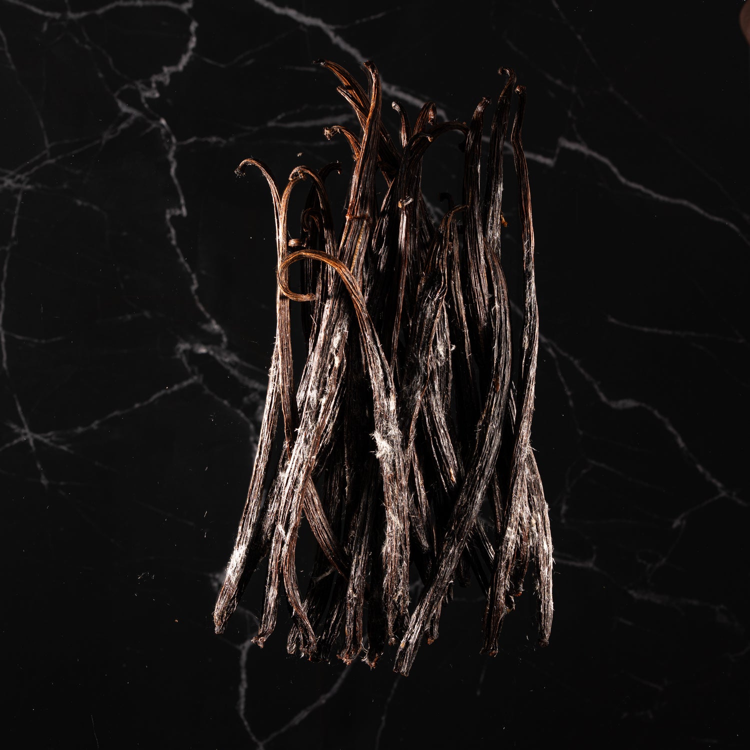 Culture de la vanille dans le nord de Sulawesi, un écosystème tropical préservé.