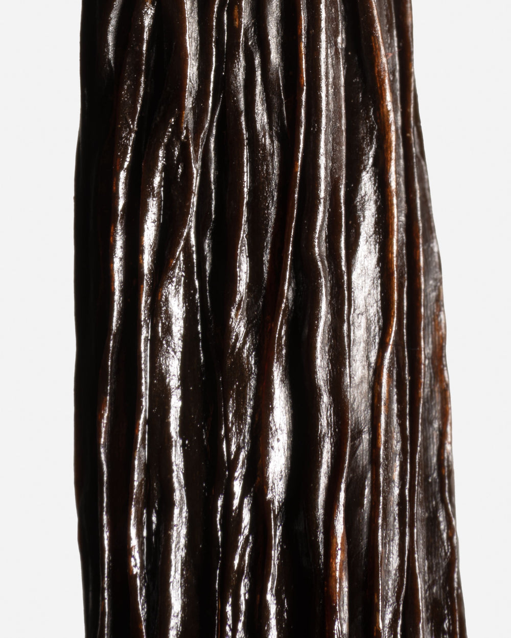 Texture de la peau d'une gousse de vanille Tahitensis équatorienne sélectionnée.