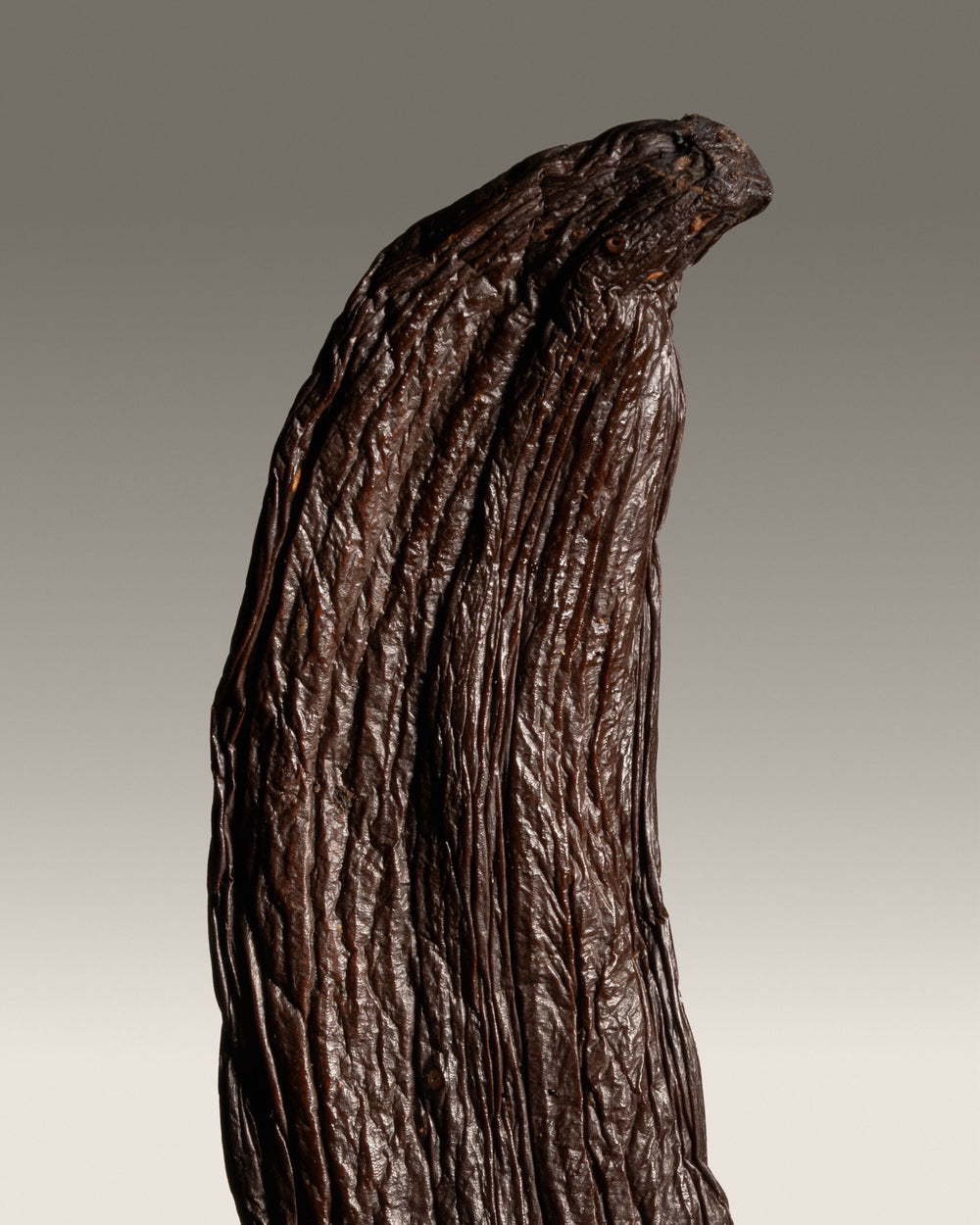 Vanille surnommée "vanille banane" originaire du terroir de Païta en Nouvelle-Calédonie.
