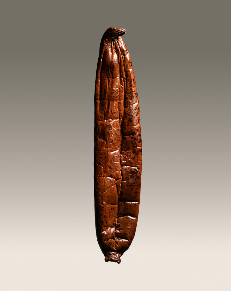 Vanille Chamissonis du Brésil