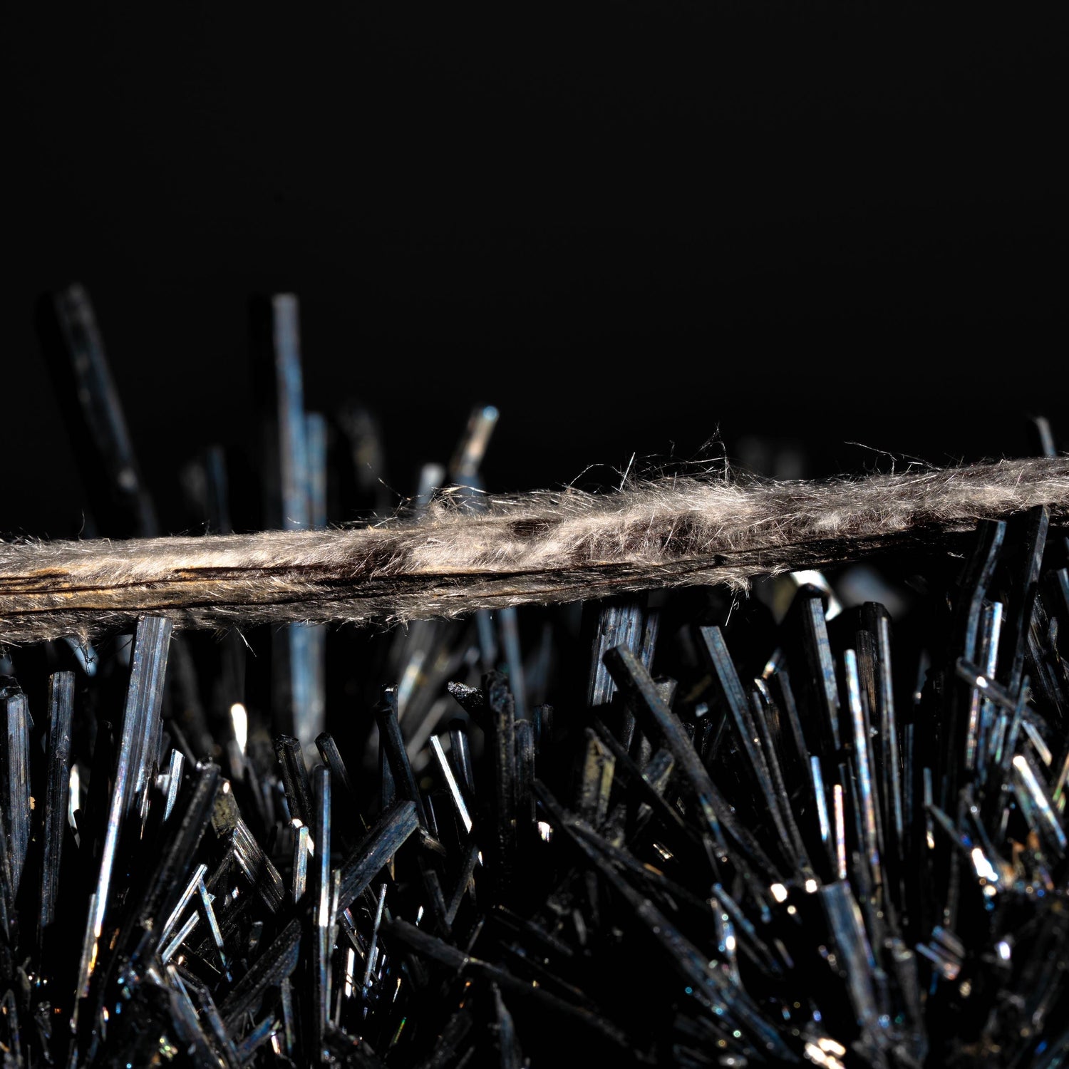 Sélection exclusive de vanille Planifolia givrée de l'Île Maurice par l'expert Paul Galand.